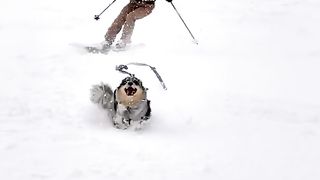 Extreme Sport Video (538)