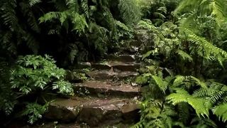 Nature love