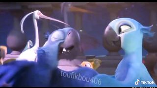 Hfdttd