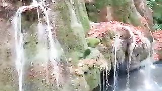 La nature