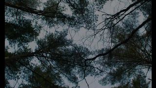 Зло не существует — Русский трейлер