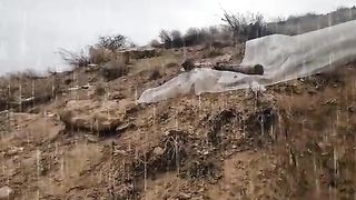 سبحان الله