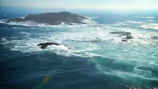 Shark hunts Eagle