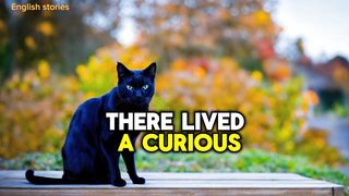 The story of the haunted cat
