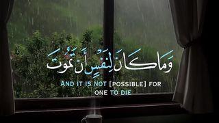 القرآن الكريم