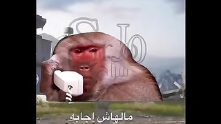 أضحك فرفش