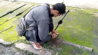 Looking for moss to make arts and crafts