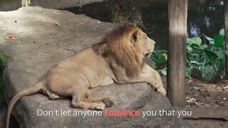 Believe In Yourself