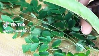 Herbal way to detoxify your kidney and prevent dialysis