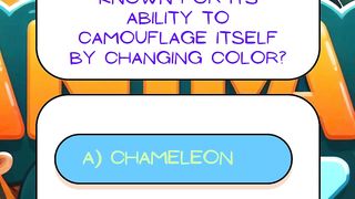 Camouflage