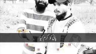 Funny videos