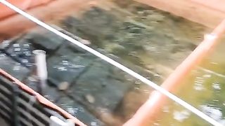 Ikan lele LAMBAT TUMBUH dan kurang NAFSU MAKAN❗Mohon sarannya❓Cek hal kecil dulu