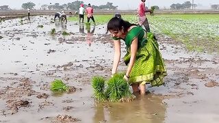 Work in Field
