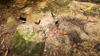 Build The King Worm House Secret Underground and Waterfall System Swimming Pool