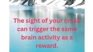 #crushfact