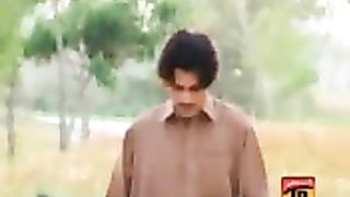 sade vangu naukri.