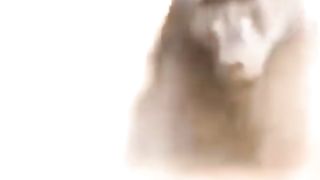 Crocodile Kills And Eats Poor Baby Monkey.