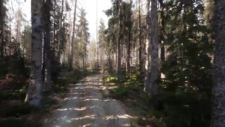 Unreal Engine 5.3.
