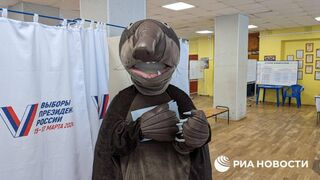 Результаты выборов. Итоги