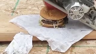 Brother, it would be better to use a knife next time.