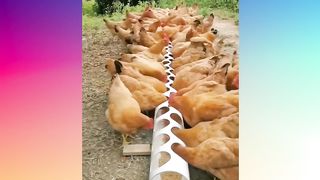 Satisfying Videos That Gets You Saying WOW