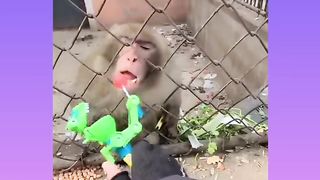 Satisfying Enjoy and Relaxing Compilation in Tik Tok