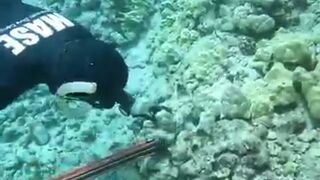 Octopus hunting with my girlfriend