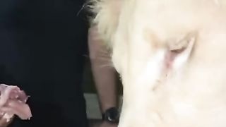 اطعام الاسود تابع للنهاية وجمد قلبك