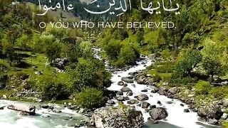 القران الكريم