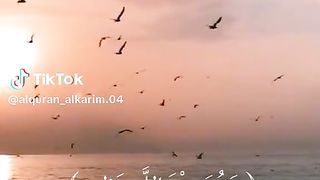 قرآن كريم راحة نفسية