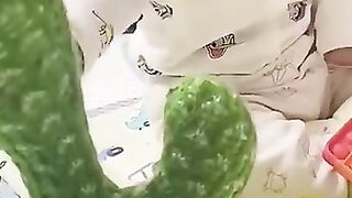 Funny Babies playing with the cactus toy #funnybaby #pewbaby #baby #cute #funnyvideos #babylaughter #justlaugh #hflmedia