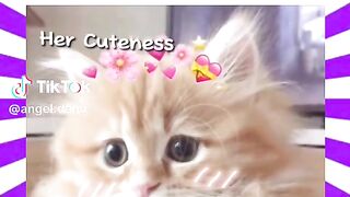 My Lovely Princess