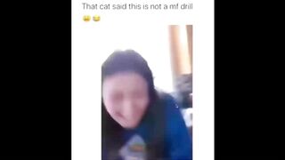 That cat said this is not a drill
