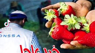Fraise