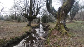 Video Excelente paisaje