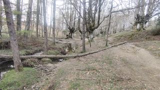 Paisajes natural/suscríbete