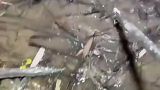 Wildlife AMAZING