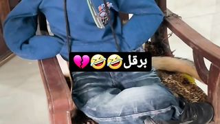 أحسن راجول