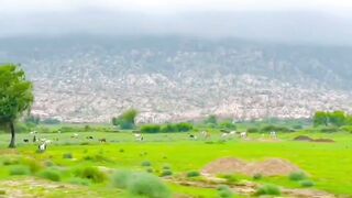 Beautiful of thar