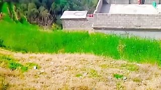 Beautiful Kpk Dir lower