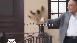 فن التعامل مع الحمول