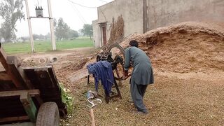 Desi log
