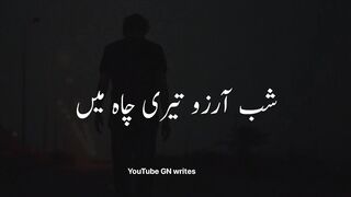 Jo bichher gaya wo mila nahi