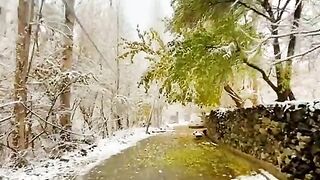 Indian hit song