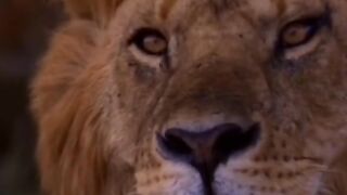 videos motivacionais