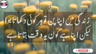 Jab Jisam Wajood Ban Jata Hai To Kaifiyat Main Wajdaan Paida Ho Jata Hai