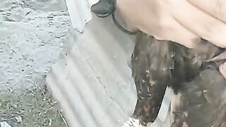 Beautiful cock