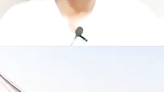 कभी_देखी_इतनी_बड़ी_पतंग,_शानदार_पतंग_