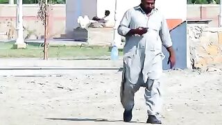 Funy videos