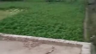 گاؤں کے سر سبز کھیت
